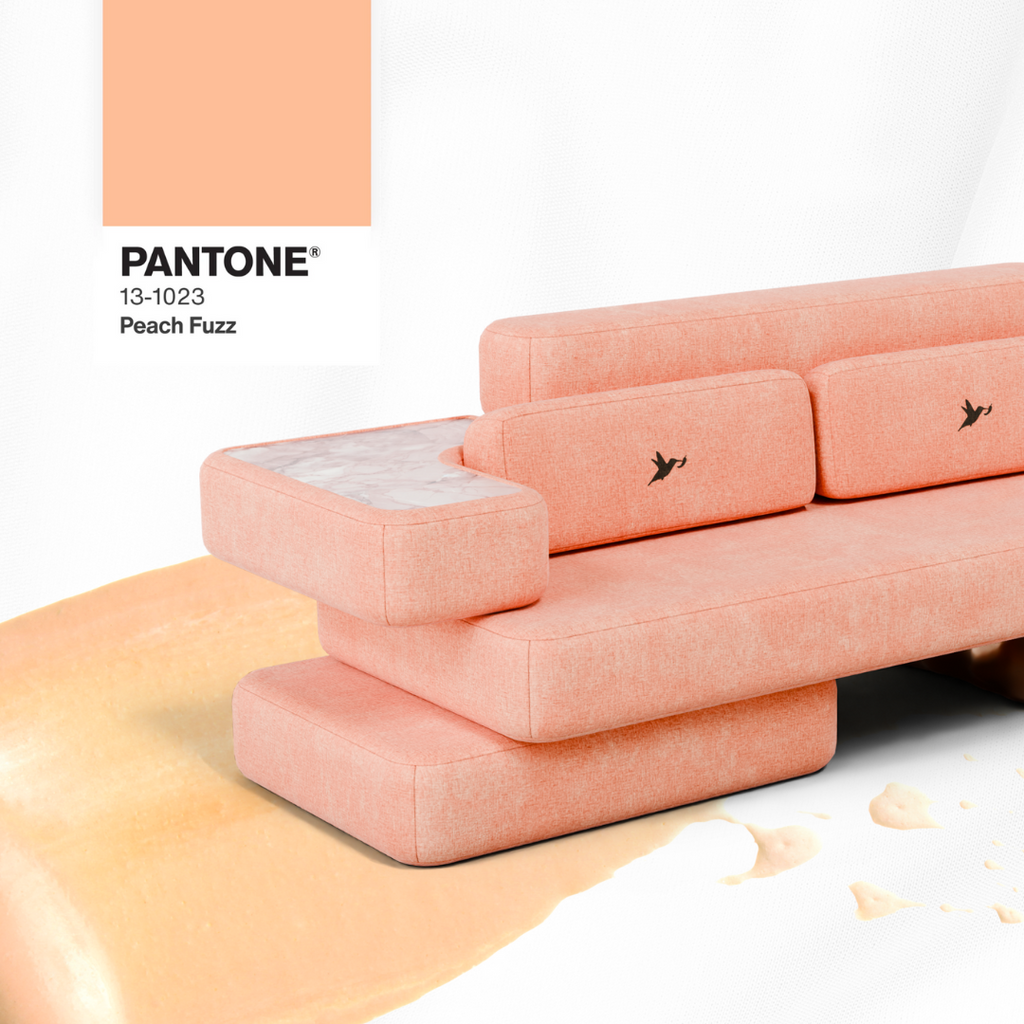 Exploring the Delicacy of Peach Fuzz: The 2024 Color of the Year